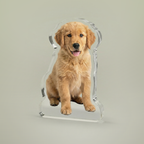 Custom Statue – Personalized Best Selling Gift