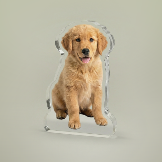 Custom Statue – Personalized Best Selling Gift